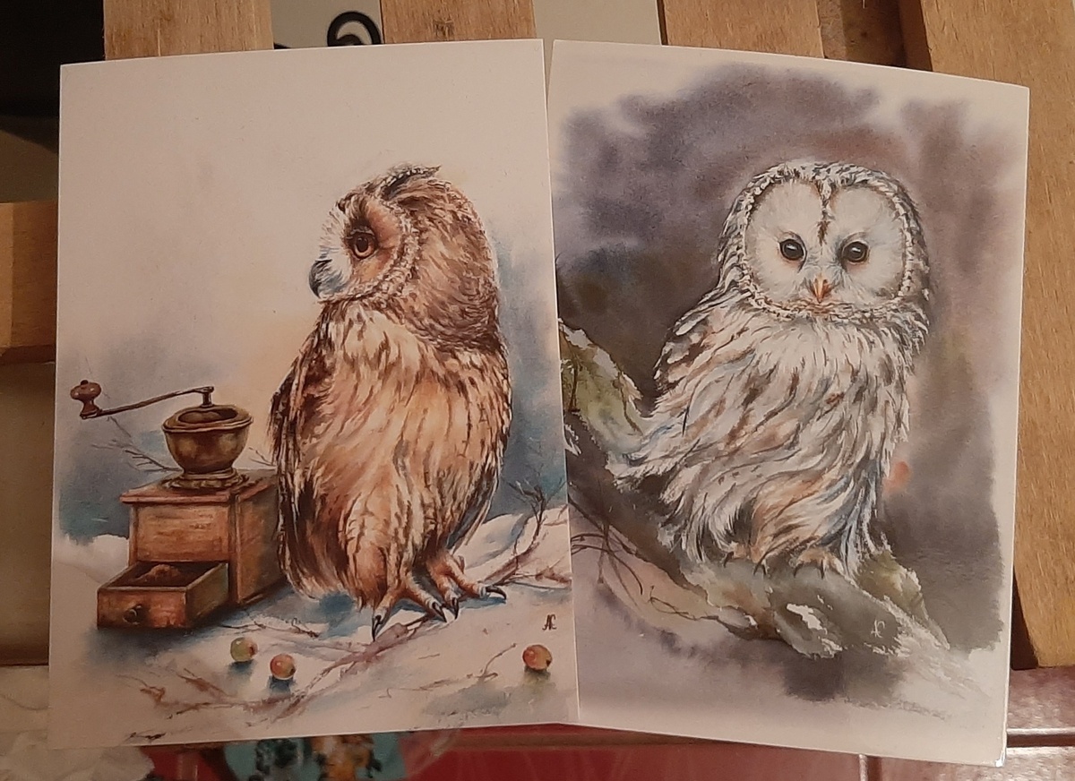 а в каждую посылку мы кладем открыточку 