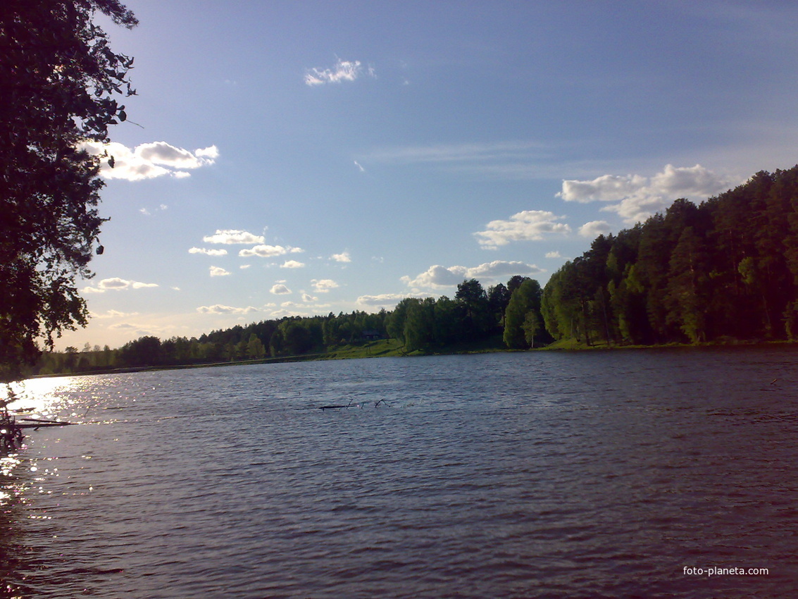 https://photo.foto-planeta.com/view/2/8/4/lebedevka-28402.jpg