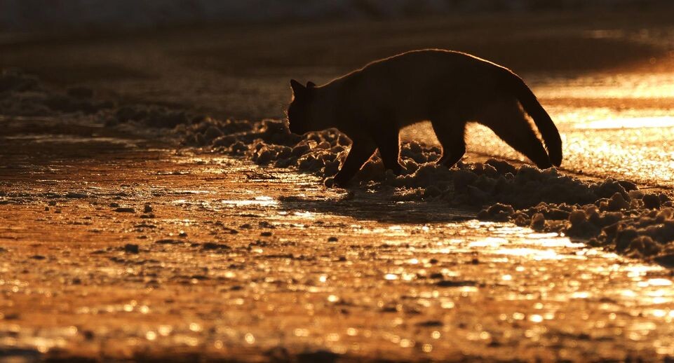    Wolfram Steinberg/dpa / www.globallookpress.com