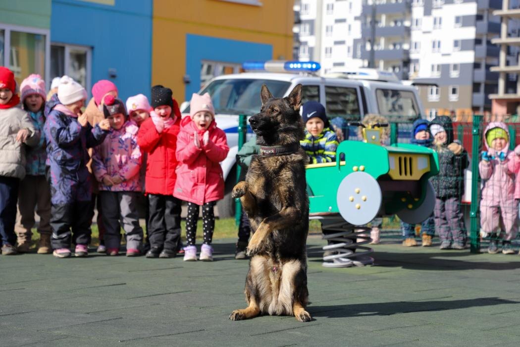 Псковские полицейские провели занятие для воспитанников детского сада № 58 «Юниор-Парк»
Фото: пресс-служба УМВД России по Псковской области