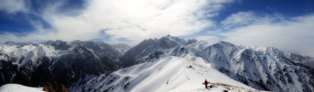 Фото: из открытых источников