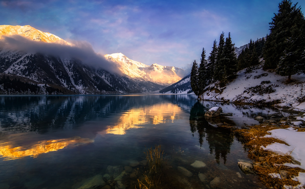 Фото: из открытых источников