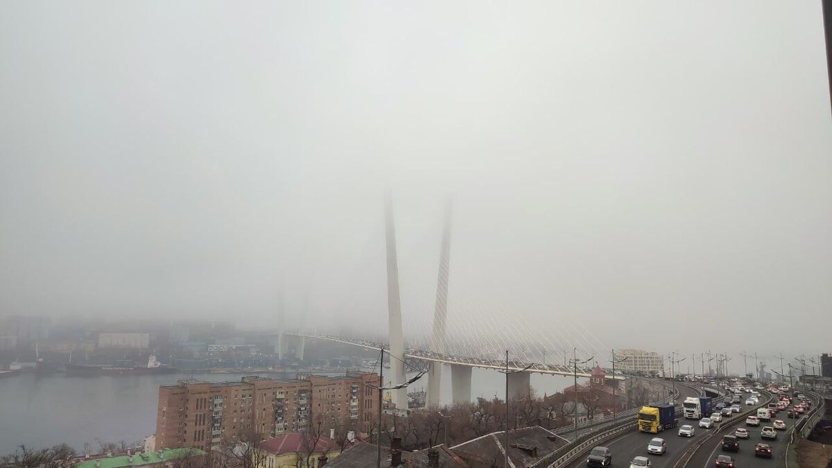     Источник: vostokmedia.com