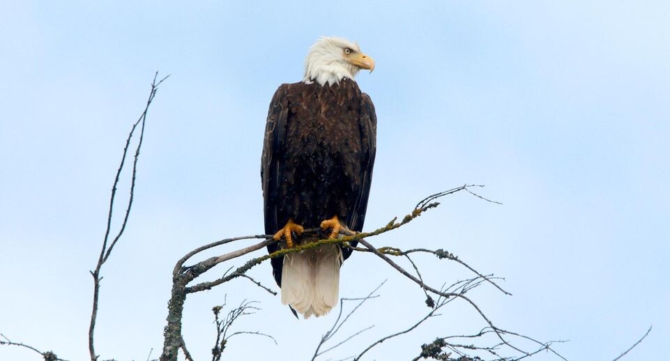    Chad Hipolito/Keystone Press Agency / www.globallookpress.com