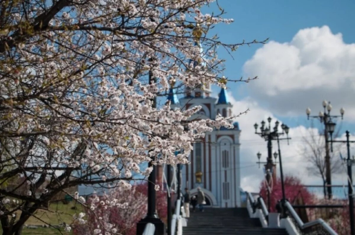    Похолодает, но незаметно: какая погода будет в Хабаровском крае 11 апреля