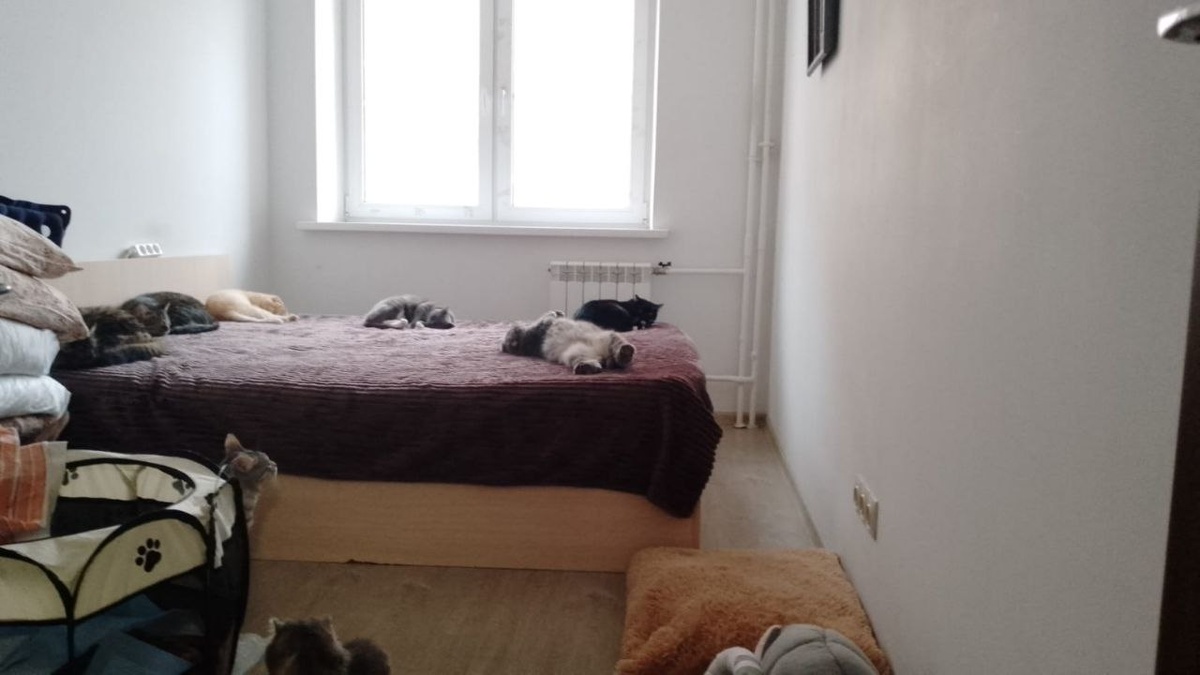 Машка с кавалерами (для просмотра следующих фото листайте вправо)