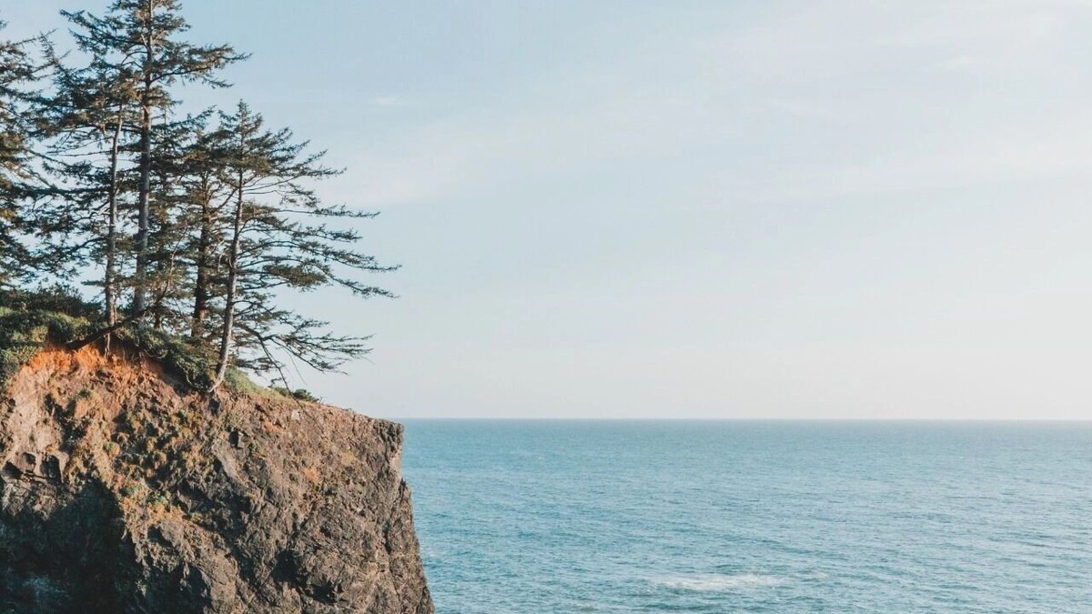     Источник: freepik.com