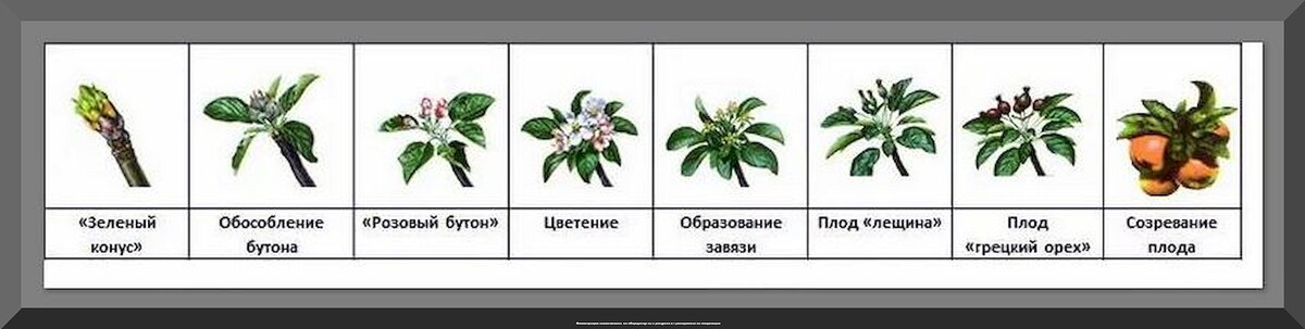 https://vk.com/photo-159774511_457270769