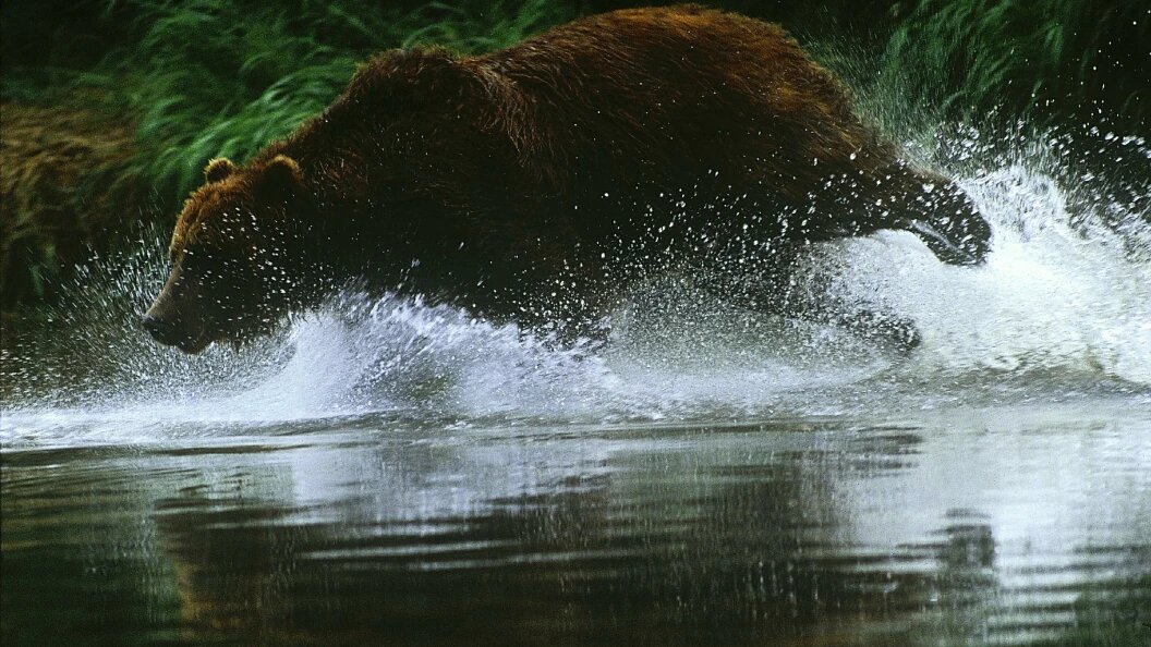    Фото: Andrey Nechaev/Globallookpress