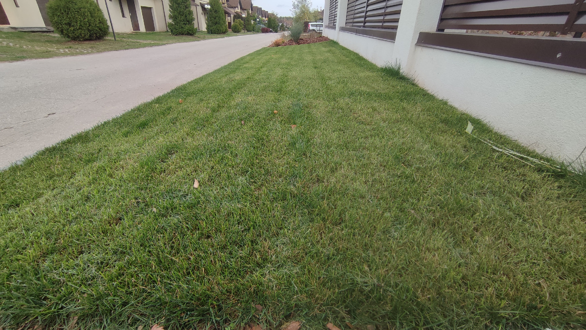 Приятно работать с таим материалом, как земля, трава, растения.