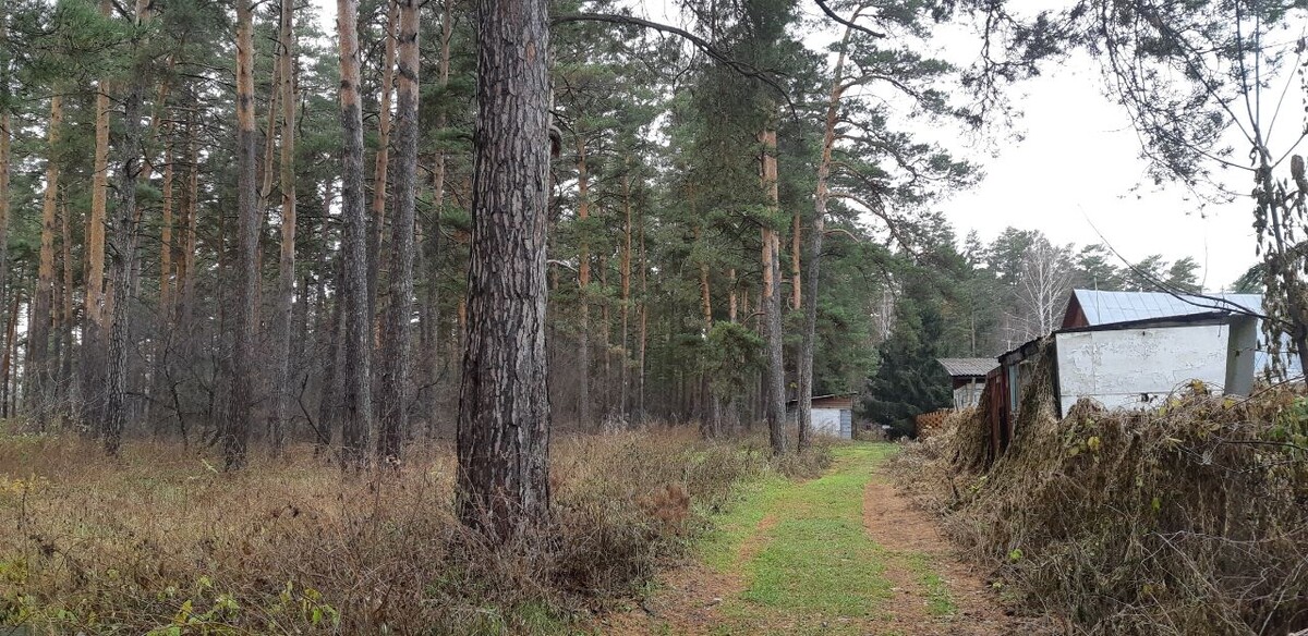 Фото: Павел Деришев