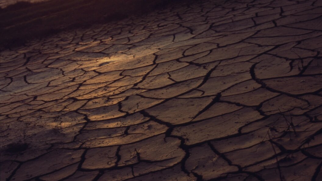    Фото: Evgeniy Kanaev/Russian Look/Globallookpress