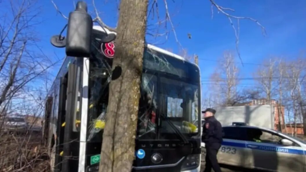    Автобус с пассажирами врезался в дерево. Кадр из видео Госавтоинспекции Хабаровского края
