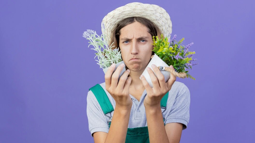    Фото: Freepik.com