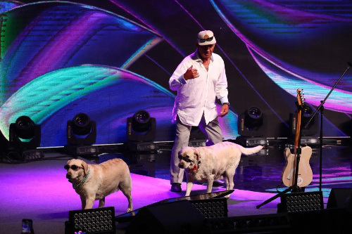    Фото: Александр Ощепков / NGS.RU