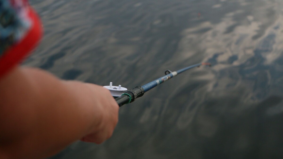     Источник: 1MI