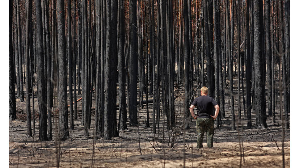 Фото: Андрей Каспришин / Коммерсантъ