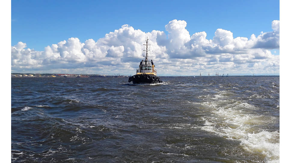 Фото: Александр Чиженок / Коммерсантъ