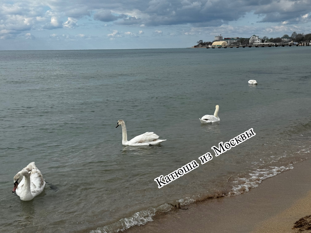 Фото сделано автором канала Катюша из Москвы 