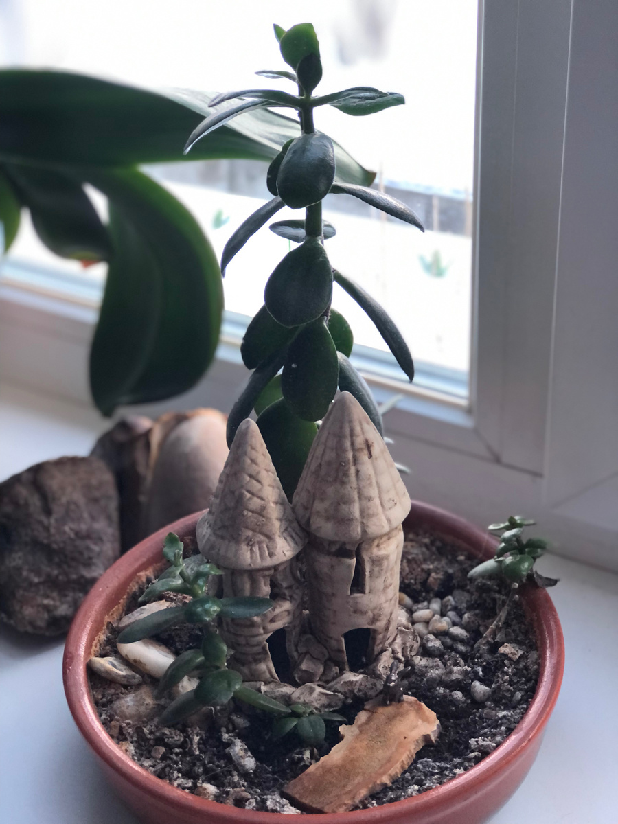 Кто найдет зайчика?