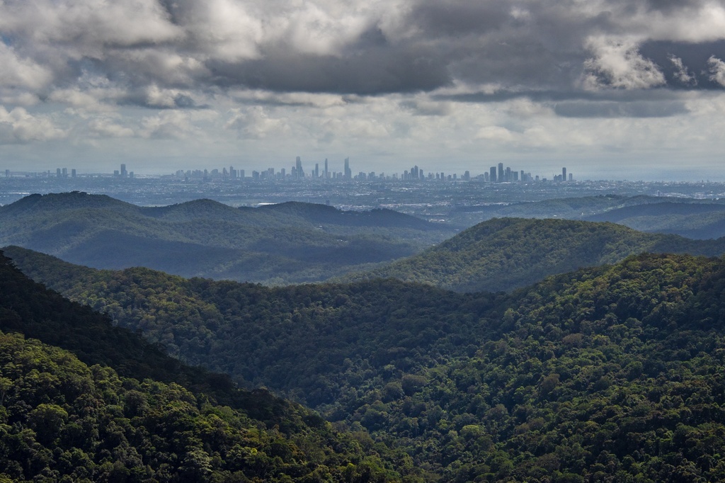01.03.2025. Национальный Парк Спринбрук, Квинслэнд, Австралия; фото (как и следующие) - из домашнего архива