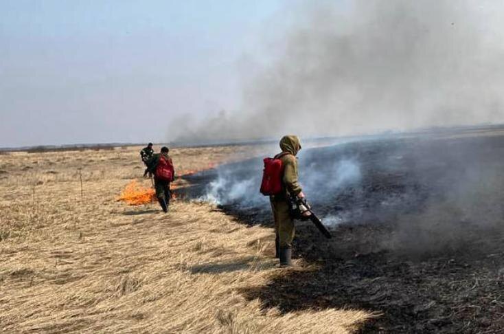    Фото - МЧС по Новосибирской области