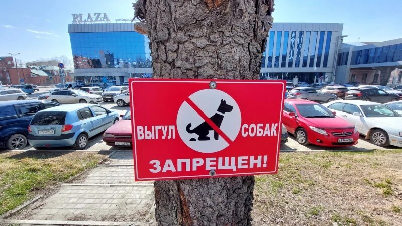     Знак Анна Зайкова