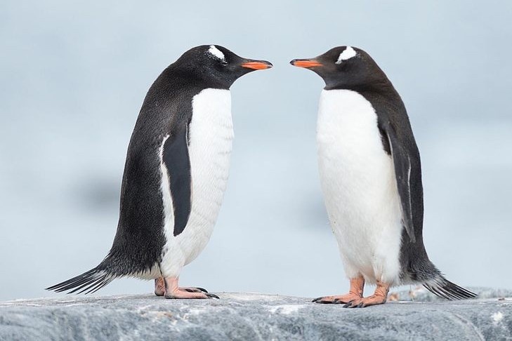 Ты заметил? У нас идеальный дресс-код.