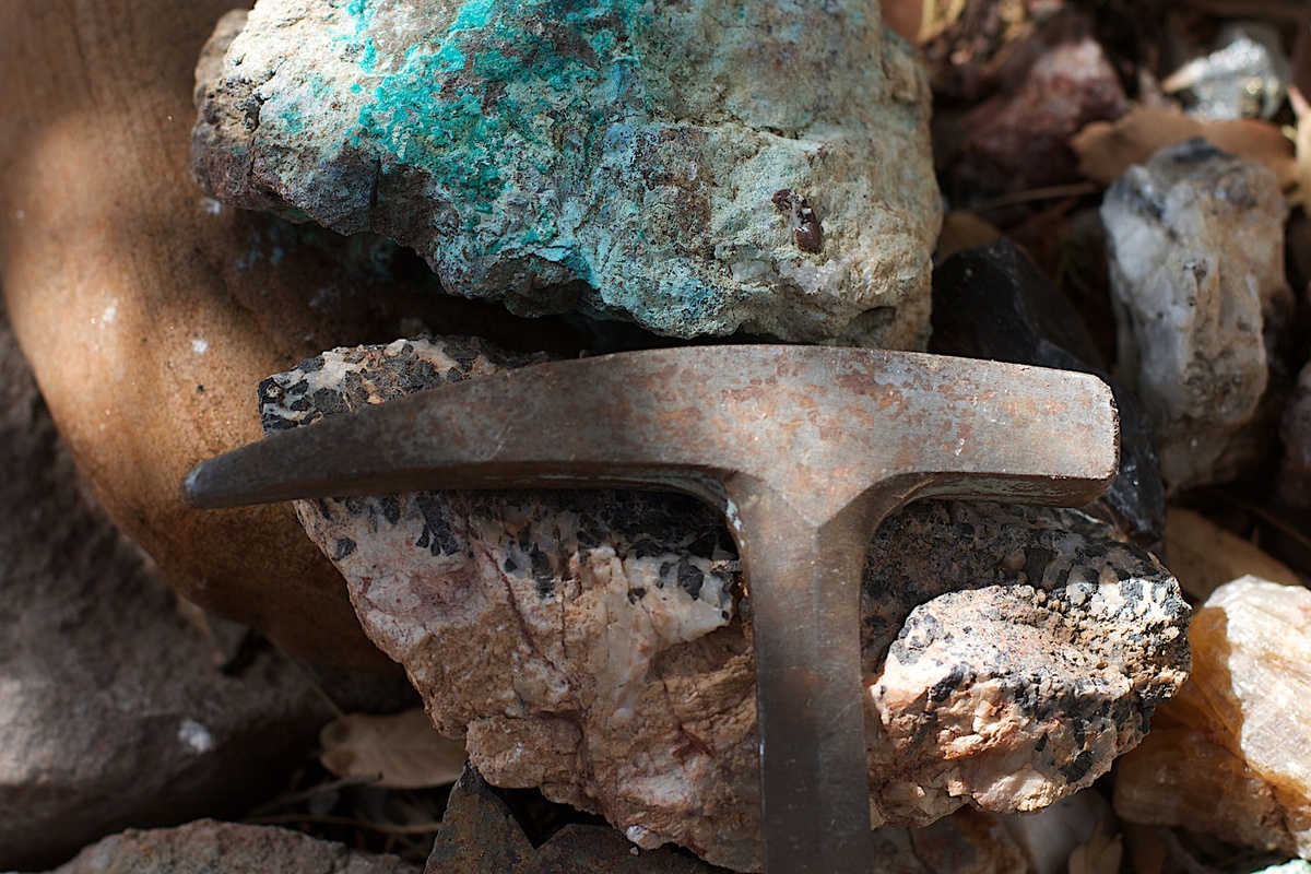    Фото с сайта pxhere.com