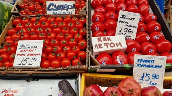    © Sputnik / Александр Жибуль