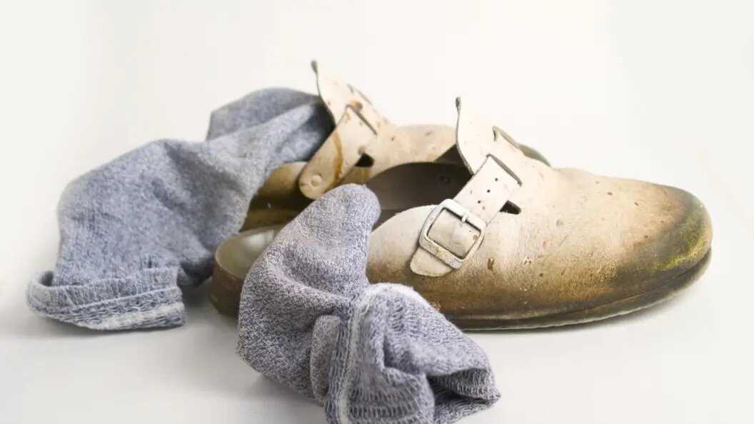    Alfred Schauhuber/imageBROKER.com/Globallookpress