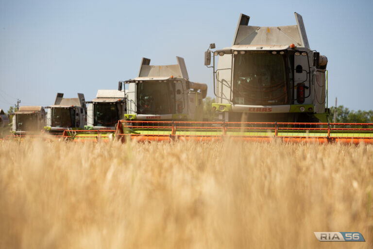    Оренбургская область удвоила экспорт продукции агропромышленного комплекса Андрей Севостьянов