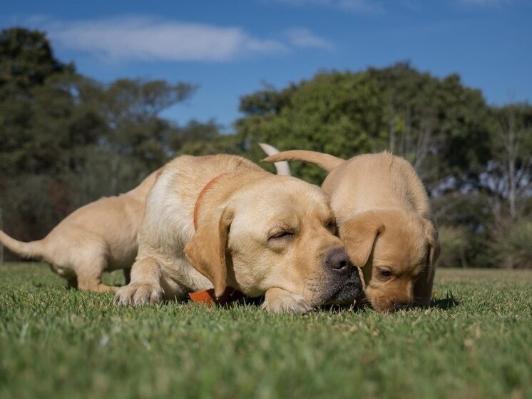     Фото: freepik.com