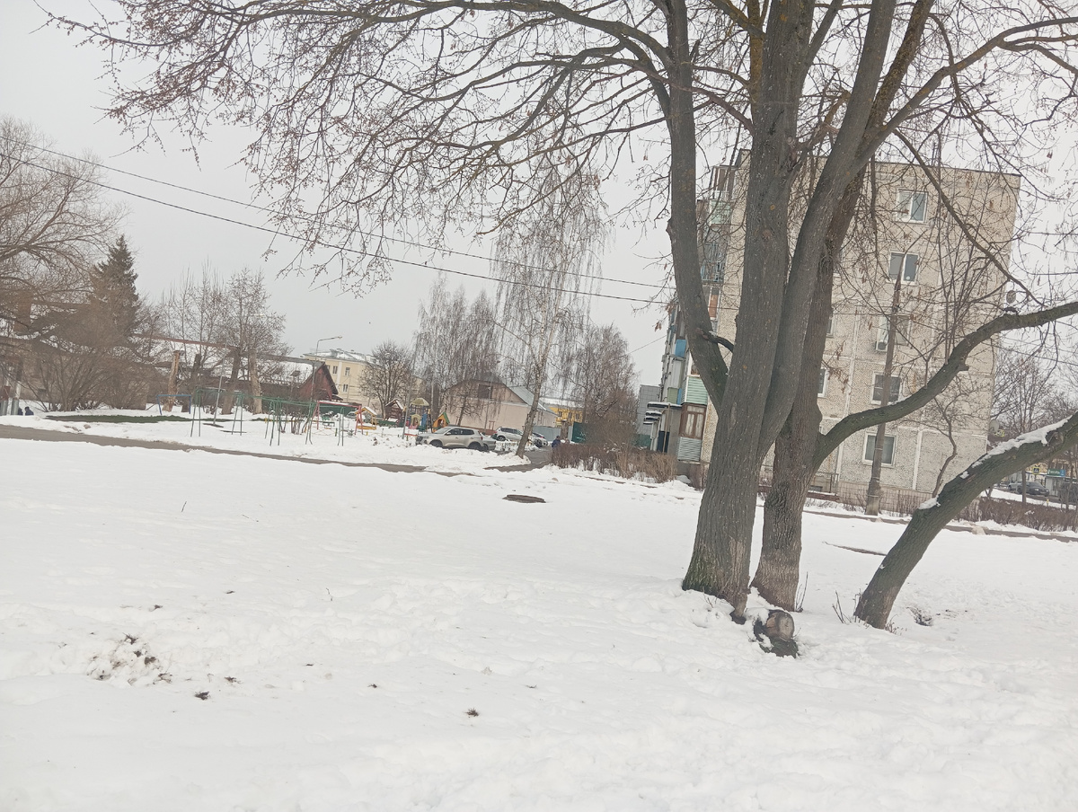 Личное фото автора канала