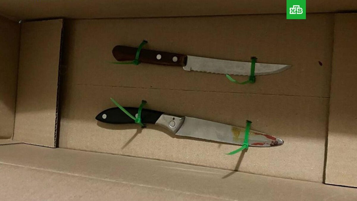    Фото: moscowproc / t.me