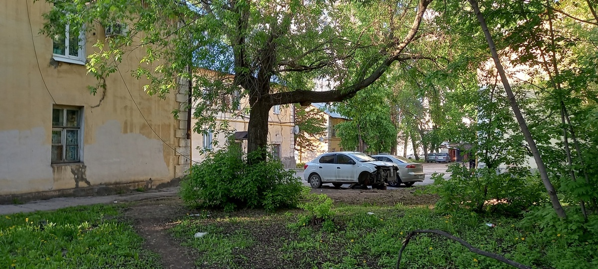    Фото: Дмитрий Павлов