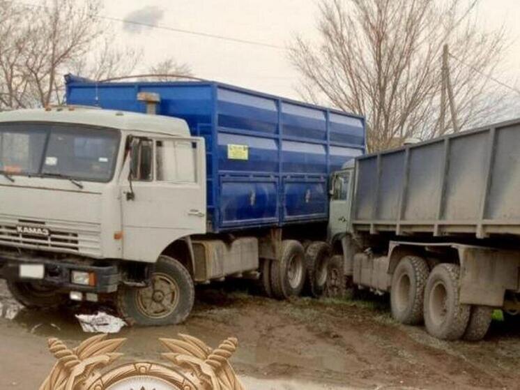     Фото: ГАИ по Саратовской области