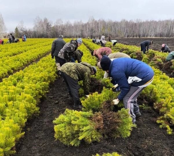 Фото: Дарья Старцева