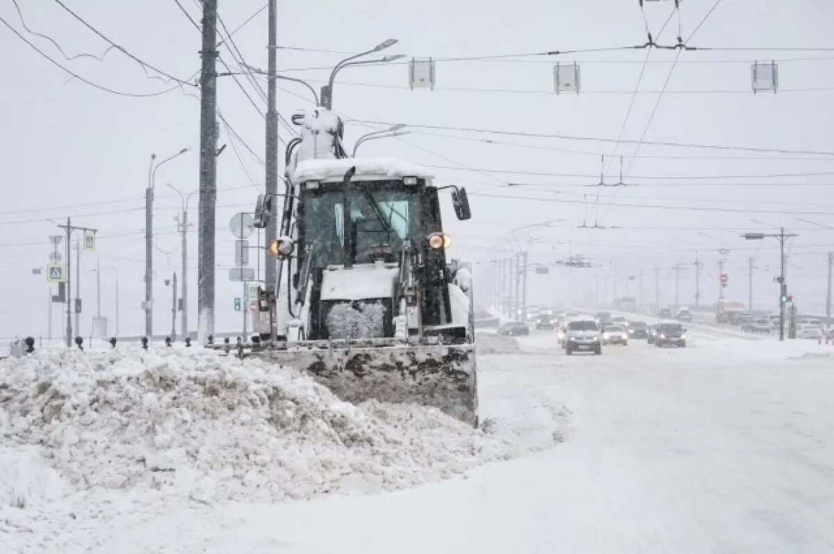    Весна может вернуться в Петербург уже в это воскресенье