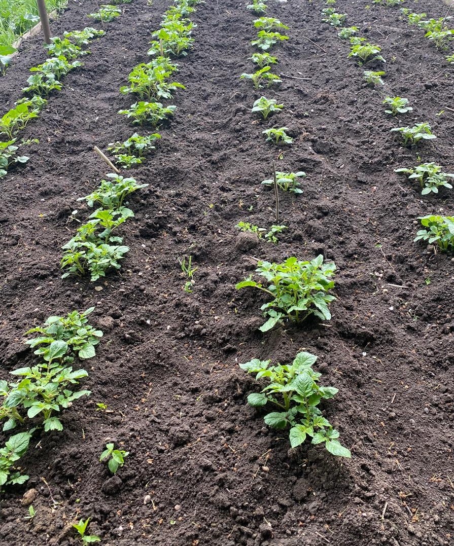 8 апреля 2025 г.