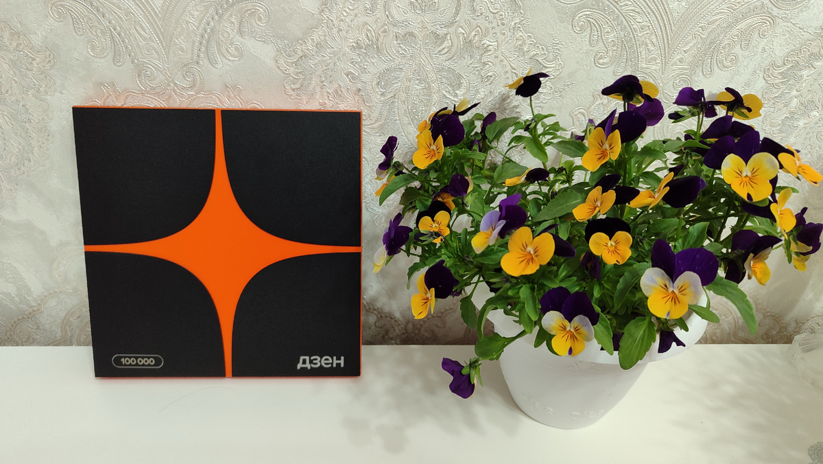 Фото из личного архива 