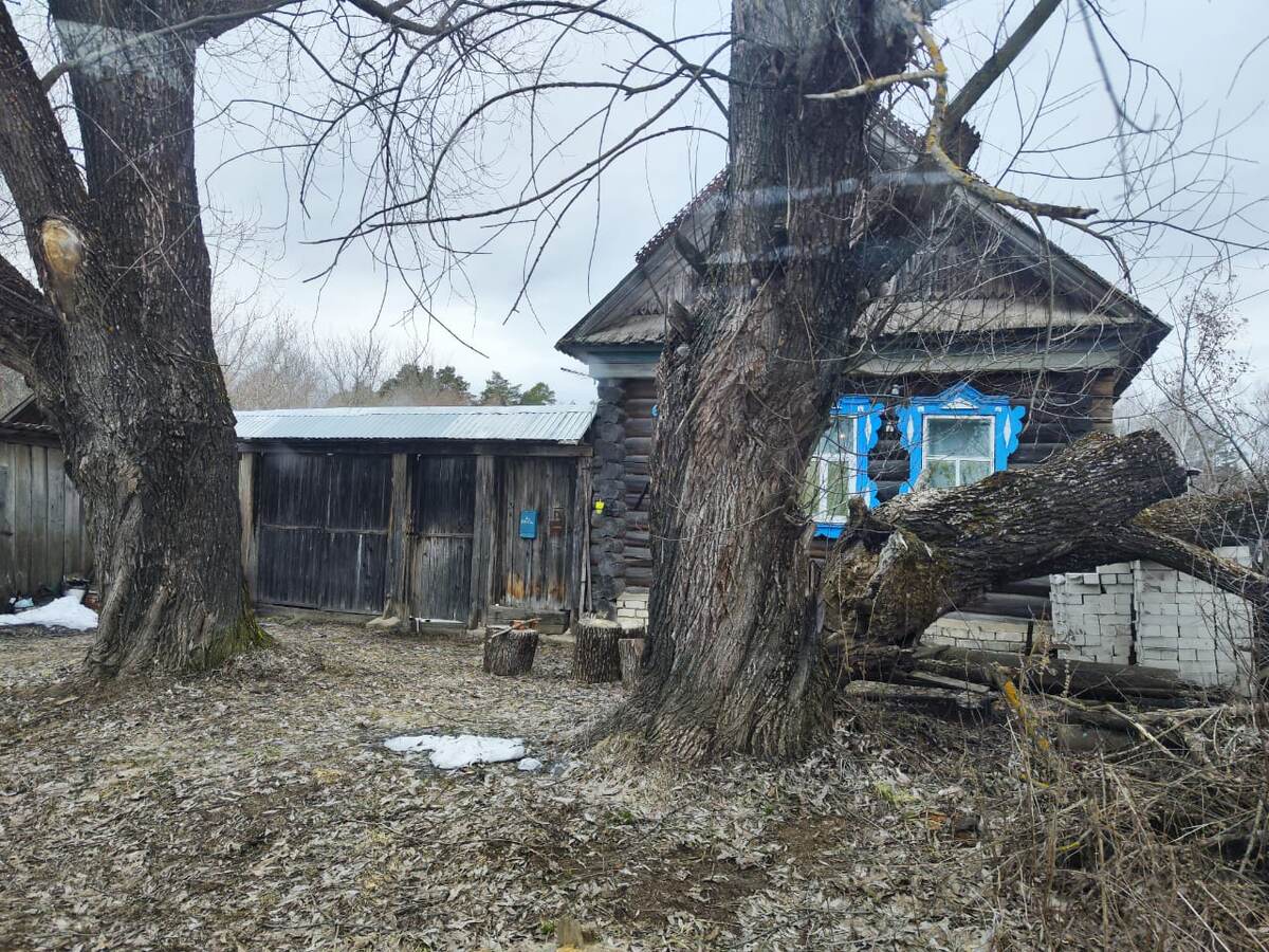 Эко-деревня Трын-Трава