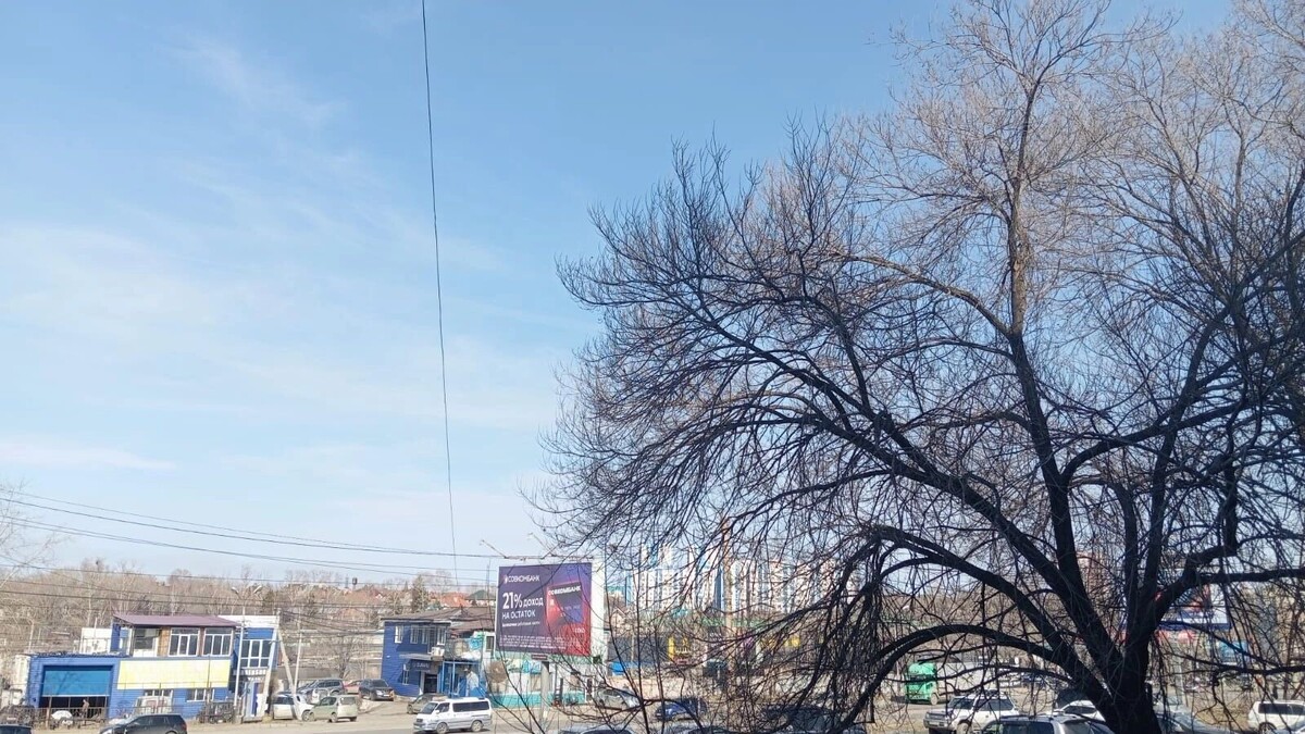     Источник: transsibinfo.com