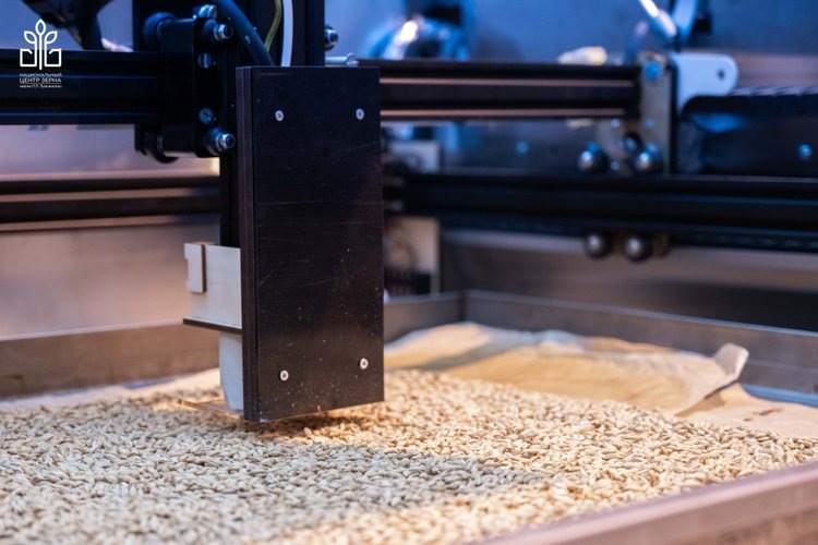     Плазменную обработку отечественных семян проводят российские исследователи в научном тандеме
