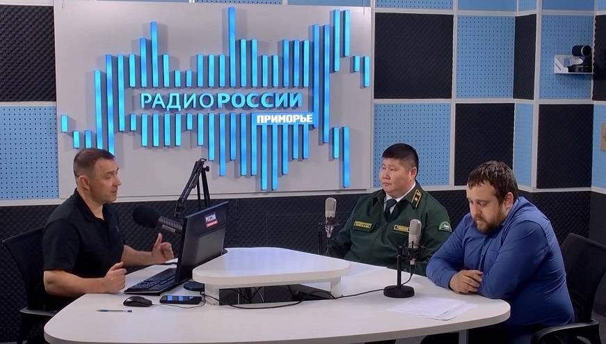    Источник фото: