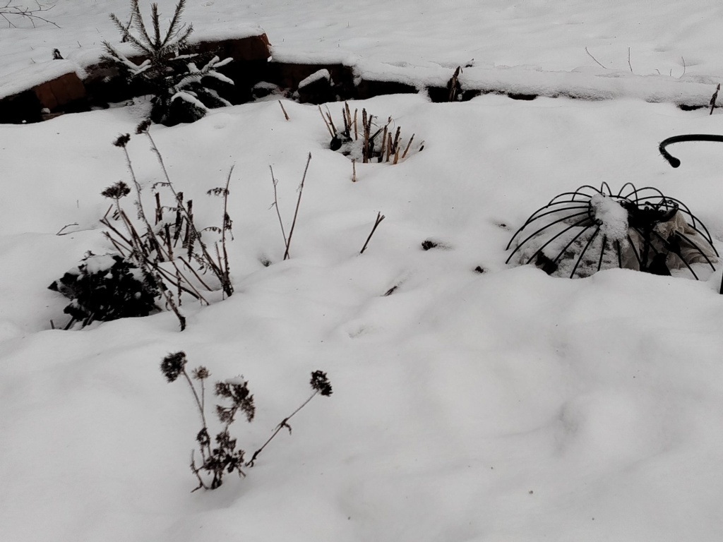  Малоснежная зима 2024-25 годов