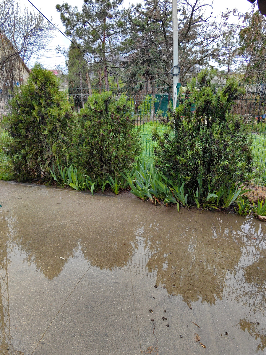 Сегодня. Фото автора канала