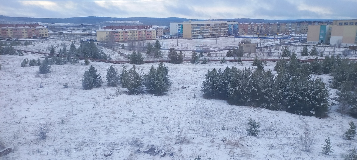 Утренний вид из окна