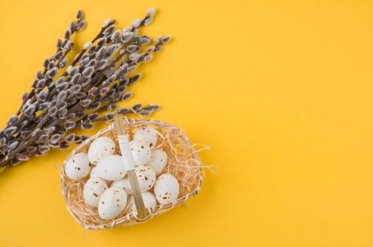    Верба расцвела на Ямале к Вербному воскресенью, несмотря на морозы