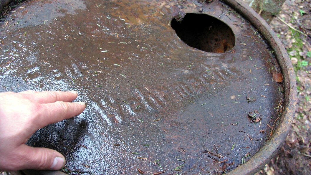    Фото: Anvar Galeev/Globallookpress